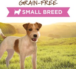 Instinct Original Small Breed Grain-Free Real Chicken Recipe Wet Dog Food, 5.5-oz can, case of 12 slide 2 of 9