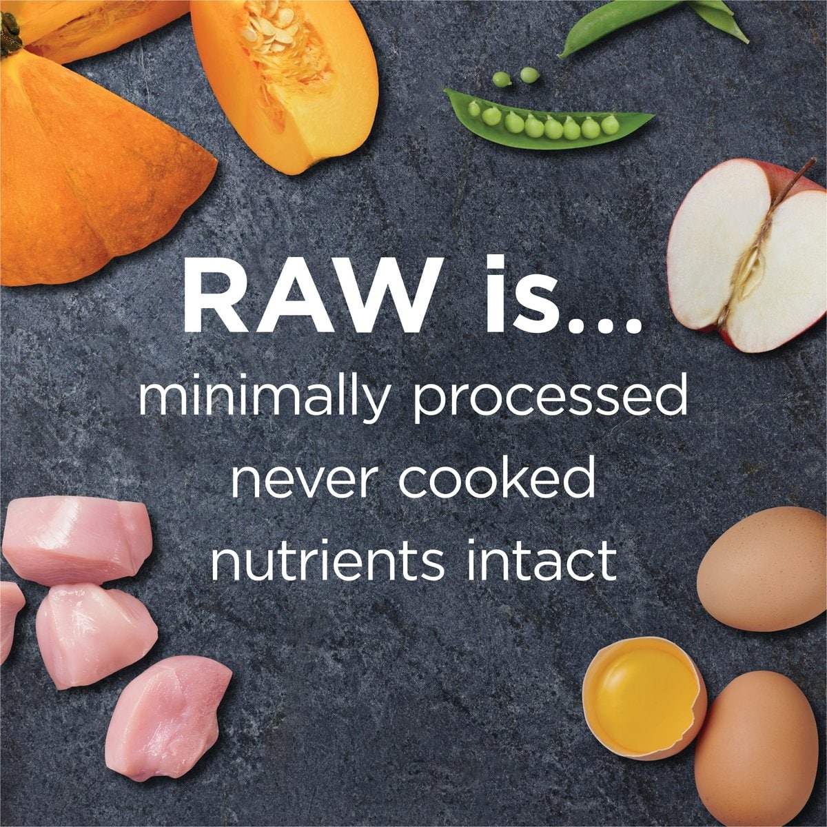 Picture of INSTINCT Raw Boost Adult Grain-Free Gut Health Recipe Dry Dog Food, 3.5 ...