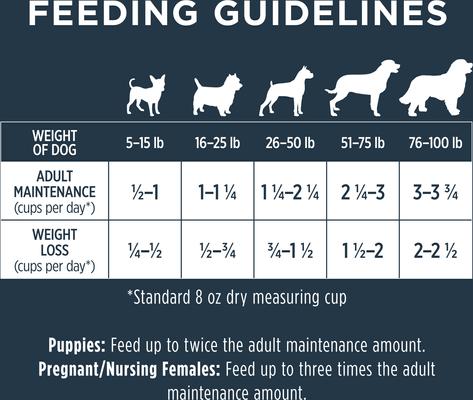 Show full view: Instinct Raw Boost Adult Grain-Free Real Chicken Recipe Dry Dog Food, 21-lb bag slide 10 of 13