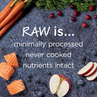 Instinct Raw Boost Adult Grain-Free Real Salmon Recipe Dry Dog Food