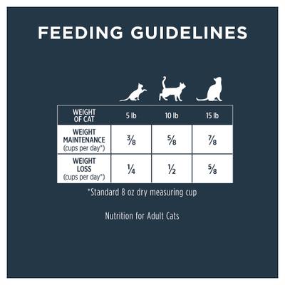 Show full view: Instinct Raw Boost Healthy Weight Recipe Grain-Free Dry Cat Food, 20-lb bundle  slide 9 of 13