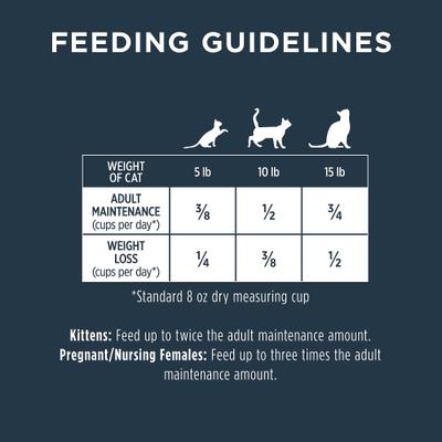 Show full view: Instinct Raw Boost Real Salmon Recipe Grain-Free Dry Cat Food, 4.5-lb bag slide 10 of 13