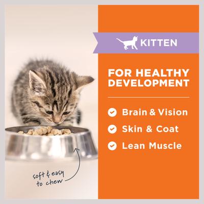 Show full view: Instinct Raw Meals Kitten Grain-Free Cage-Free Chicken Recipe Freeze-Dried Cat Food, 9.5-oz bag slide 6 of 11