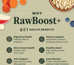 Instinct RawBoost Whole Grain Real Salmon & Brown Rice Recipe Dry Dog Food, 19-lb bag slide 2 of 8