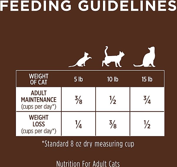 How Many Cups of Cat Food a Day: Ultimate Feeding Guide for Cats