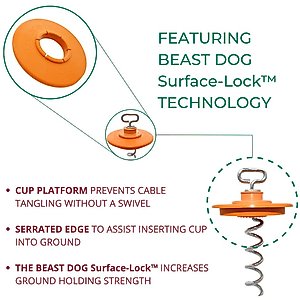 IntelliLeash Intelli-Stayk with Beast Dog Surface Lock