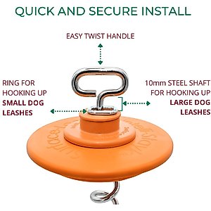 IntelliLeash Intelli-Stayk with Beast Dog Surface Lock