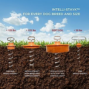 IntelliLeash Intelli-Stayk with Beast Dog Surface Lock