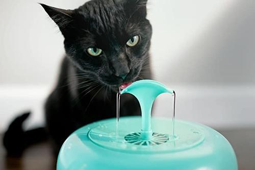Show full view: IntelliLeash Purrfect Water Fountain Dog & Cat Waterer, Teal slide 4 of 5