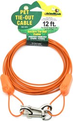 IntelliLeash Tie-Out Dog Cables, 12-ft, 10-lb
