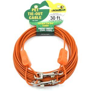 IntelliLeash Tie-Out Dog Cables, 30-ft, 35-lb