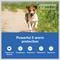 Show in main carousel: Interceptor Plus Chew, 2-8 lbs, (Orange Box), 1 Chew (1-mo. supply) + Credelio Chewable Tablet for Dogs, 6.1-12 lbs, (Pink Box), 1 Chewable Tablet (1-mo. supply) slide 5 of 9
