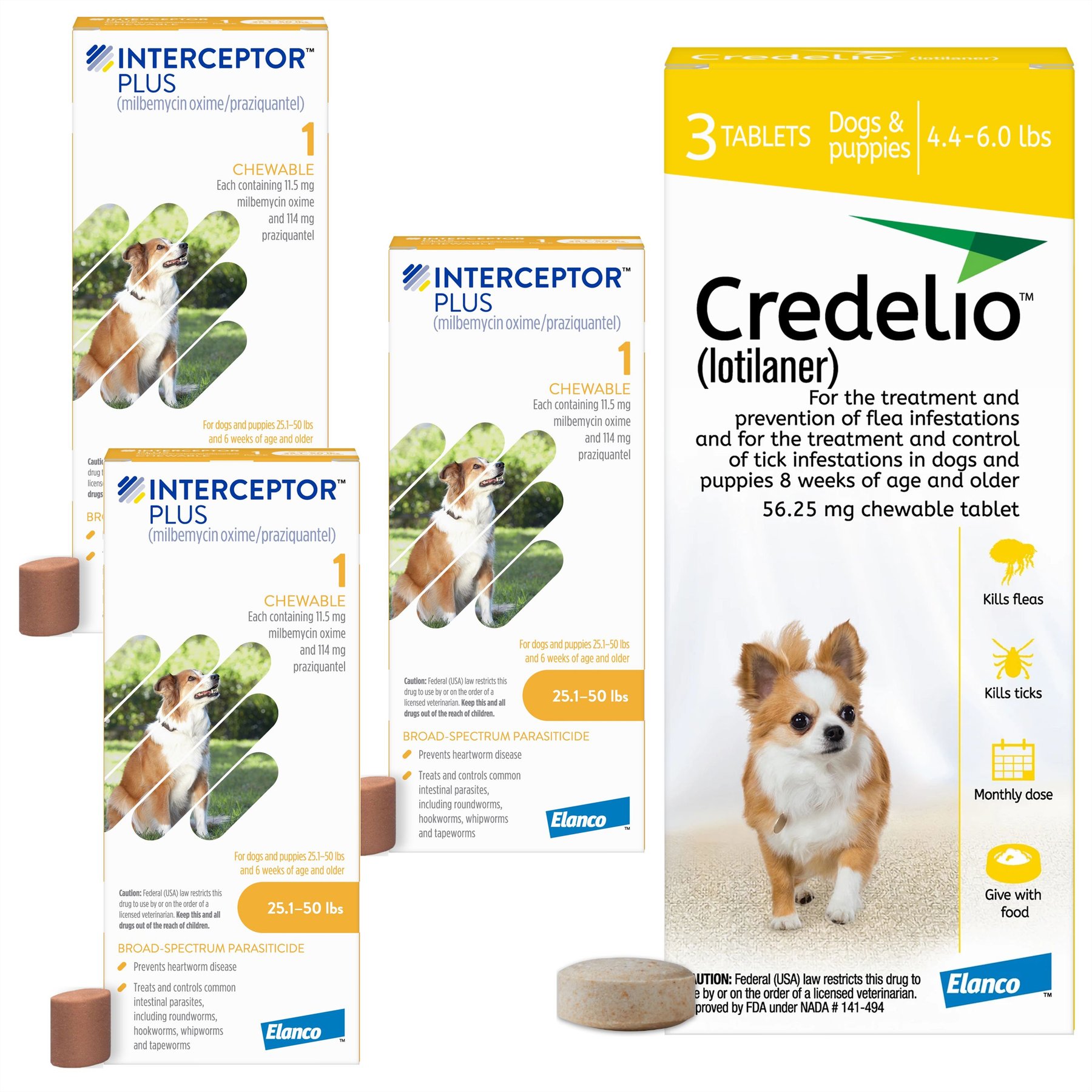 Interceptor Plus Chew, 25.1-50 lbs, (Yellow Box), 3 Chew (3-mo. supply) + Credelio Chewable Tablet for Dogs, 4.4-6 lbs, (Yellow Box), 3 Chewable Tablets (3-mos. supply)