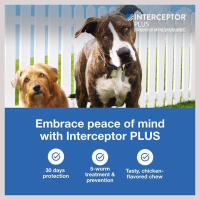 Show full view: Interceptor Plus Chew, 50.1-100 lbs, (Blue Box), 1 Chew (1-mo. supply) + Credelio Chewable Tablet for Dogs, 4.4-6 lbs, (Yellow Box), 1 Chewable Tablet (1-mo. supply) slide 4 of 9