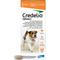 Show in main carousel: Interceptor Plus Chew, 8.1-25 lbs, (Green Box), 1 Chew (1-mo. supply) + Credelio Chewable Tablet for Dogs, 12.1-25 lbs, (Orange Box), 1 Chewable Tablet (1-mo. supply) slide 6 of 9
