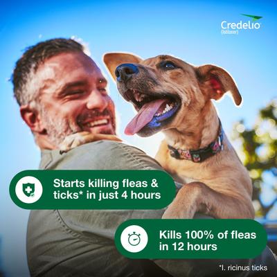 Show full view: Interceptor Plus Chew, 8.1-25 lbs, (Green Box), 1 Chew (1-mo. supply) + Credelio Chewable Tablet for Dogs, 12.1-25 lbs, (Orange Box), 1 Chewable Tablet (1-mo. supply) slide 9 of 9