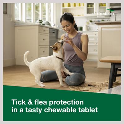 Show full view: Interceptor Plus Chew, 8.1-25 lbs, (Green Box), 1 Chew (1-mo. supply) + Credelio Chewable Tablet for Dogs, 4.4-6 lbs, (Yellow Box), 1 Chewable Tablet (1-mo. supply) slide 9 of 9