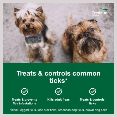 Show full view: Interceptor Plus Chew, 8.1-25 lbs, (Green Box), 3 Chew (3-mo. supply) + Credelio Chewable Tablet for Dogs, 4.4-6 lbs, (Yellow Box), 3 Chewable Tablets (3-mos. supply) slide 8 of 9