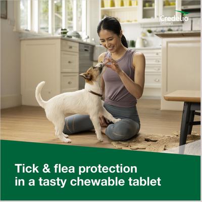 Show full view: Interceptor Plus Chew, 8.1-25 lbs, (Green Box), 3 Chew (3-mo. supply) + Credelio Chewable Tablet for Dogs, 4.4-6 lbs, (Yellow Box), 3 Chewable Tablets (3-mos. supply) slide 9 of 9