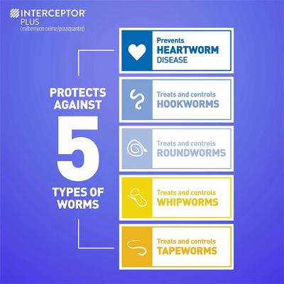 Show full view: Interceptor Plus Chew for Dogs, 2-8 lbs, (Orange Box), 6 Chews (6-mos. supply) & Credelio Chewable Tablet for Dogs, 6.1-12 lbs, (Pink Box), 6 Chewable Tablets (6-mos. supply) slide 6 of 10