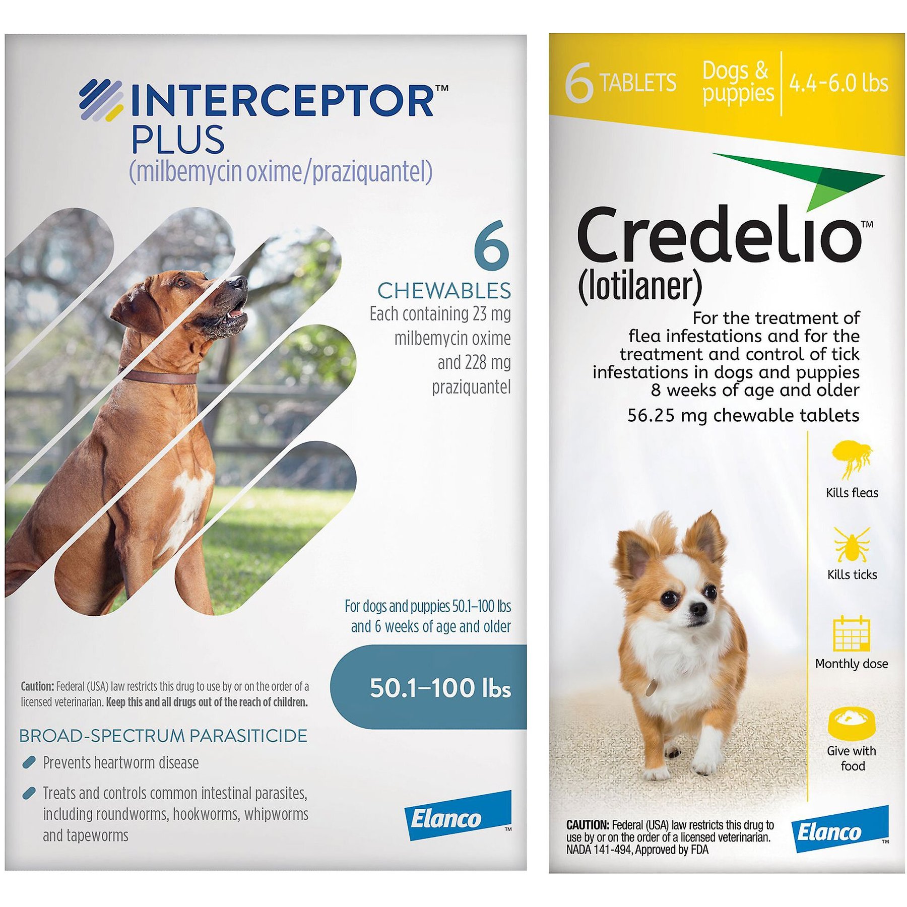 Interceptor Plus Chew for Dogs, 50.1-100 lbs, (Blue Box), 6 Chews (6-mos. supply) & Credelio Chewable Tablet for Dogs, 4.4-6 lbs, (Yellow Box), 6 Chewable Tablets (6-mos. supply)