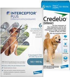 Credelio||Interceptor Plus Interceptor Plus for Dogs, 6 Chews (6-mos. supply) & Credelio for Dogs, 6 Chewable Tablets (6-m...
