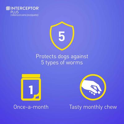 Show full view: Interceptor Plus Chew for Dogs, 50.1-100 lbs, (Blue Box), 6 Chews (6-mos. supply) & Credelio Chewable Tablet for Dogs, 6.1-12 lbs, (Pink Box), 6 Chewable Tablets (6-mos. supply) slide 6 of 10