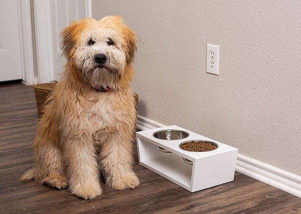 Show full view: Internet's Best Modern Elevated Dog & Cat Bowls, 2-cup, 5.5-in Tall slide 5 of 6