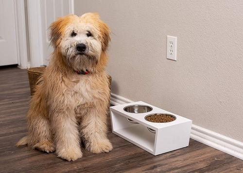 Show full view: Internet's Best Modern Elevated Dog & Cat Bowls, 2-cup, 5.5-in Tall slide 6 of 7