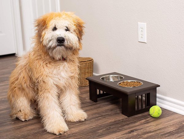 Show full view: Internet's Best Traditional Non-Skid Elevated Dog Bowl, Espresso, 4-cup bowl capacity slide 5 of 6