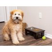 Show in main carousel: Internet's Best Traditional Non-Skid Elevated Dog Bowl, Espresso, 4-cup bowl capacity slide 5 of 6