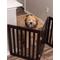 Show in main carousel: Internet's Best Traditional Pet Gate, Espresso, 24-in, 4-Panel slide 7 of 8
