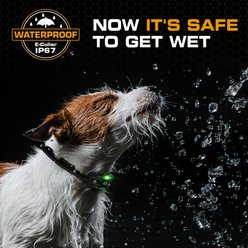 INVIROX 2026 Edition Waterproof Rechargeable Dog Training Collar & Remote Control, Black, 1 count slide 2 of 7