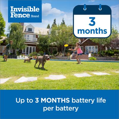 Show full view: Invisible Fence Single Invisible Fence Battery slide 4 of 8