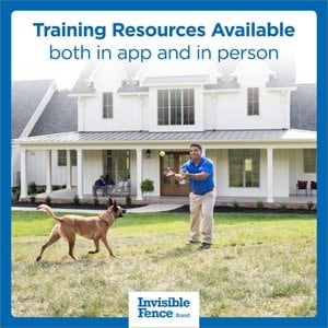 Invisible Fence Wireless GPS Dog Fence System & Tracking Collar, Gray