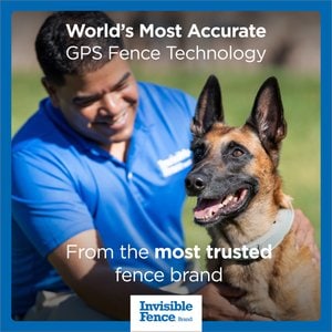 Invisible Fence Wireless GPS Dog Fence System & Tracking Collar, Gray