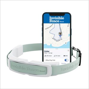 Invisible Fence Wireless GPS Dog Fence System & Tracking Collar, Gray