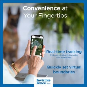 Invisible Fence Wireless GPS Dog Fence System & Tracking Collar, Gray