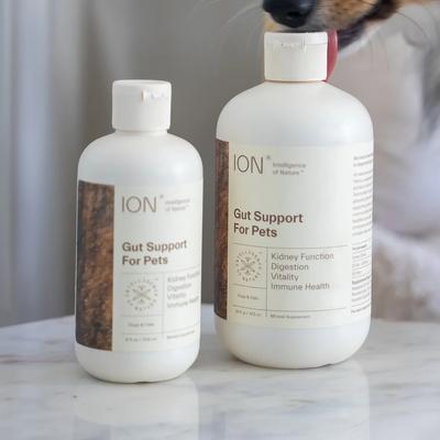 Show full view: ION* Intelligence of Nature Gut Support Digestive Aid Supplement for Dogs & Cats, 8-fl oz bottle slide 5 of 7