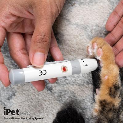 Show full view: iPet PRO Ulti-Thin Sterile Lancets for Dogs & Cats, 28-Gauge, 100 count slide 6 of 11