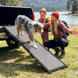 iPetba Joint Support Heavy-Duty Carry Handle Dog Ramp for Car & Suv, Grey