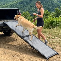 iPetba Joint Support Heavy-Duty Carry Handle Dog Ramp for Car, SUV & Truck, Grey
