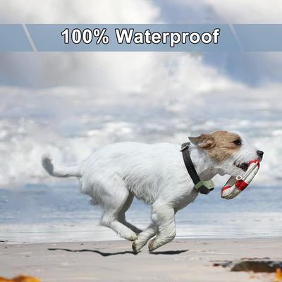 Show full view: iPets PET618 Extra Collar Receiver slide 3 of 6