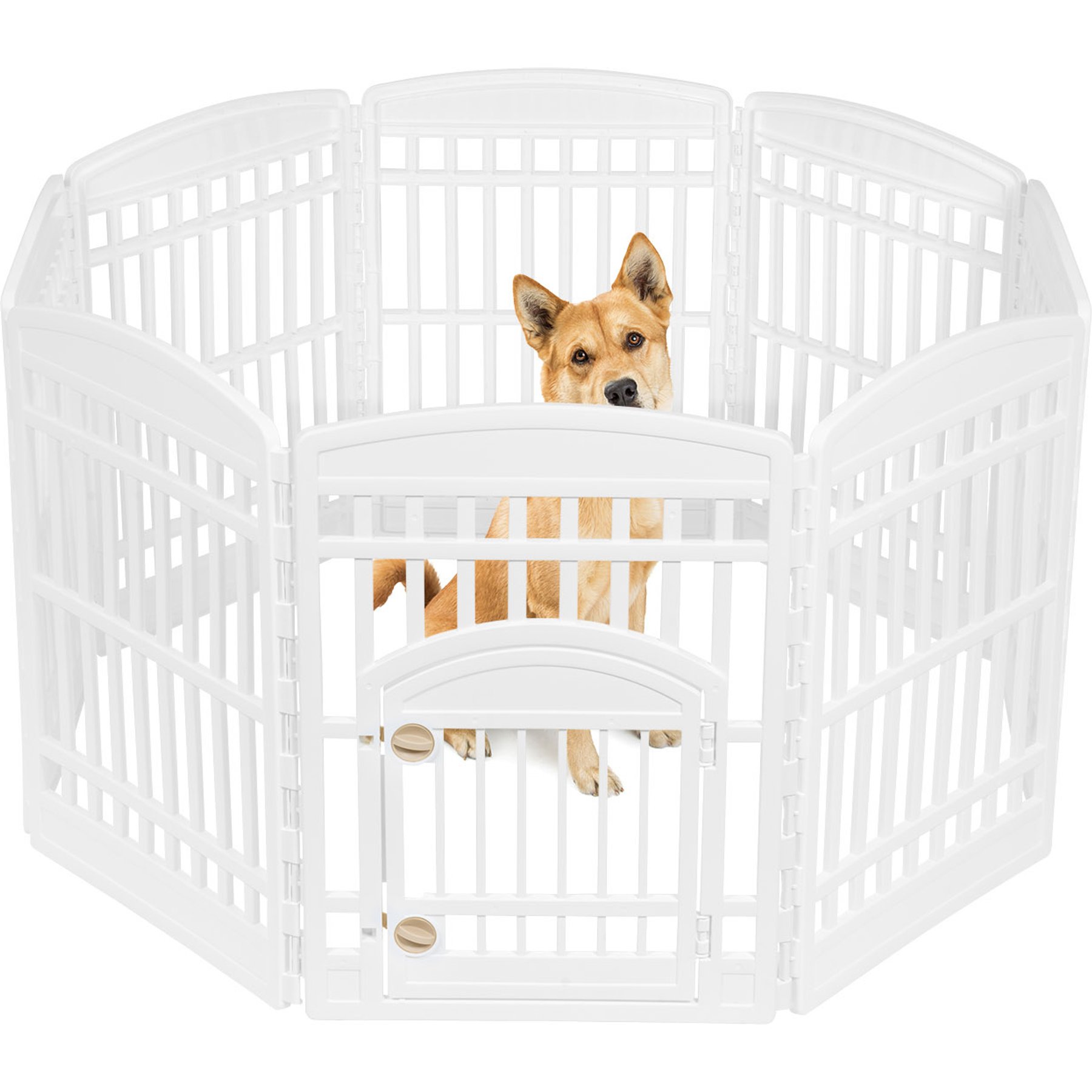 IRIS 4-8 Panel Foldable Plastic Dog Exercise Playpen with Door, 34-in, White