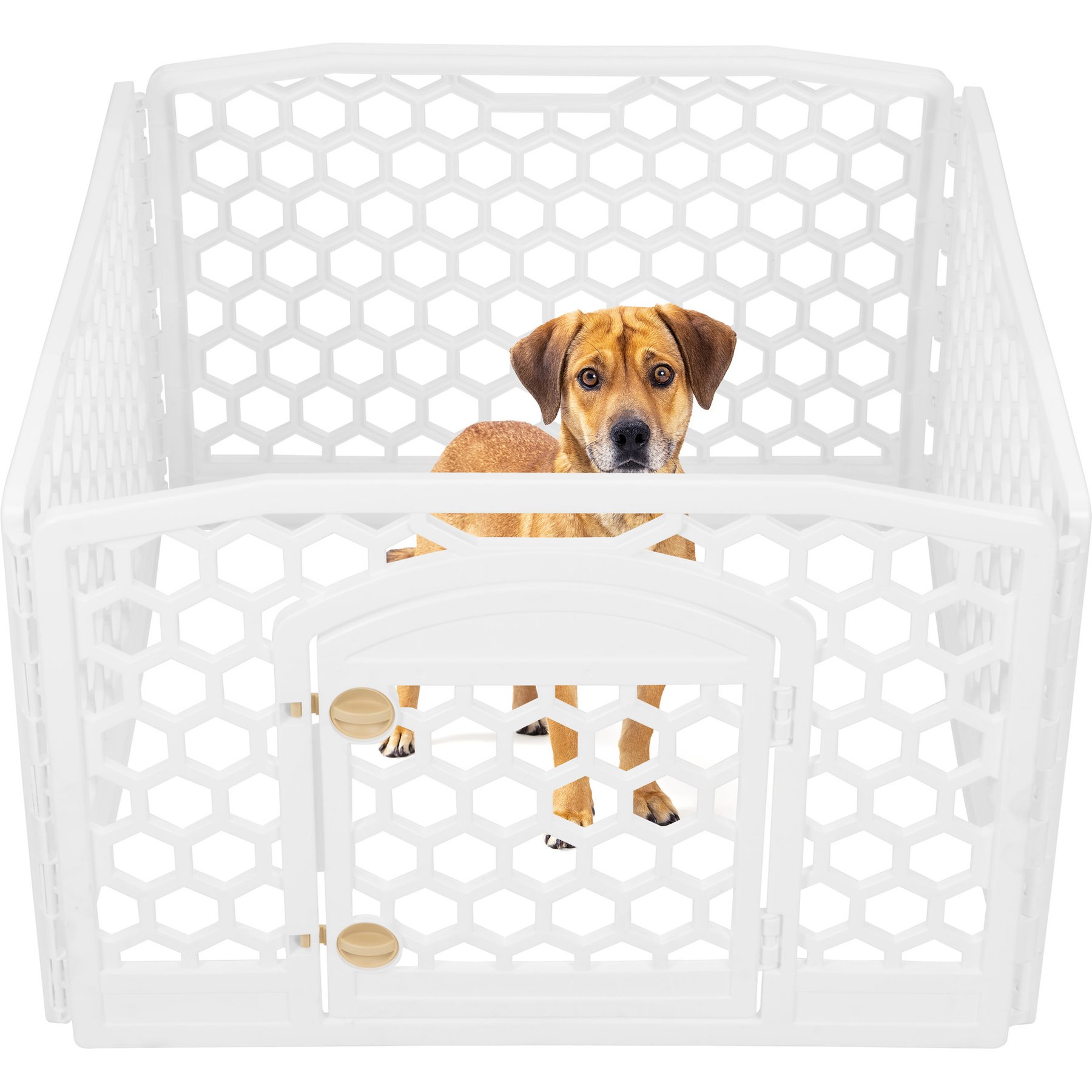 IRIS Dog Exercise Playpen, White, 24-in, 4-Panel