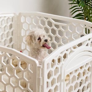IRIS Dog Exercise Playpen, White, 24-in, 4-Panel