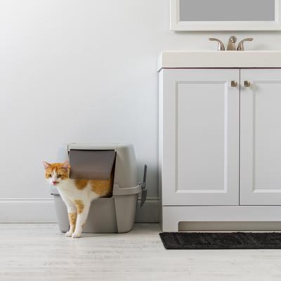 Show full view: IRIS Portable Hooded Cat Litter Box with Scoop & Handle, Gray, Large slide 9 of 12