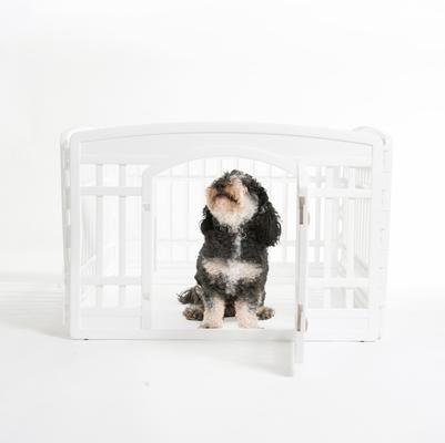 Show full view: IRIS 4-6 Panel Dog Exercise Playpen with Door, 24-in, White, 4-panel slide 7 of 11