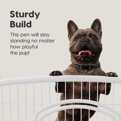 Show full view: IRIS 4-8 Panel Dog Exercise Playpen with Door, 24-in, White slide 4 of 11