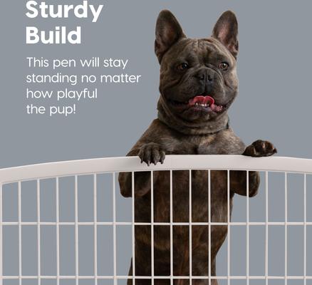 Show full view: IRIS 4-8 Panel Dog Exercise Playpen with Door, 34-in, White slide 8 of 11